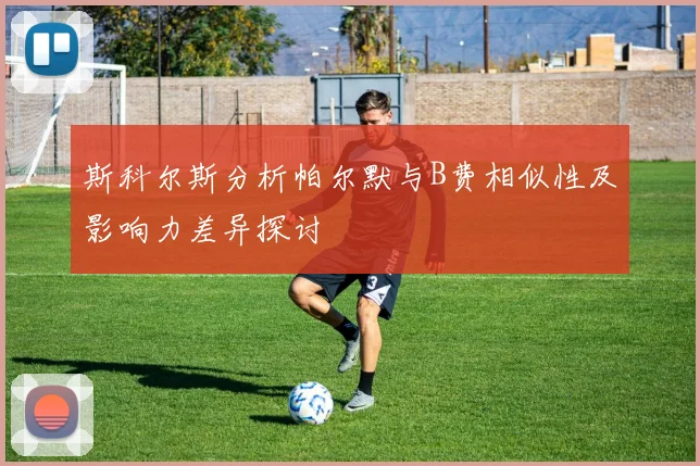 斯科尔斯分析帕尔默与B费相似性及影响力差异探讨